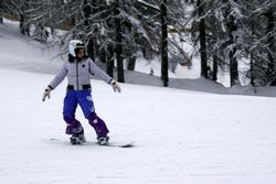 Alta Val Badia (146), Claudia R (45), Sci Alpino (290)